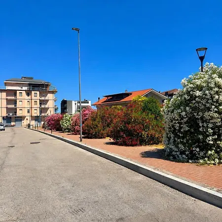 Camelia House Apartment *