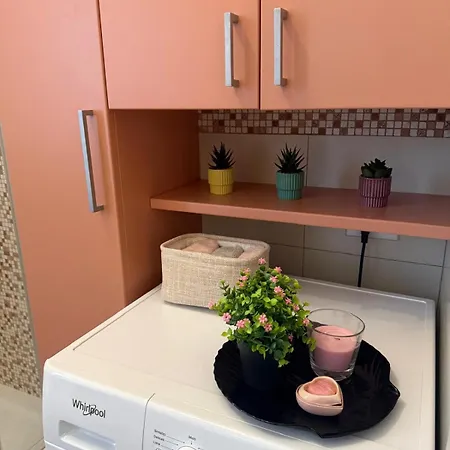 Apartment Camelia House *